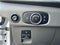 2024 Ford Transit-350 Passenger Van XLT